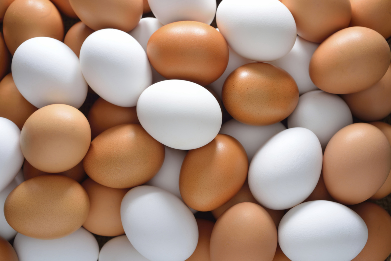常吃雞蛋 膽固醇偏高?